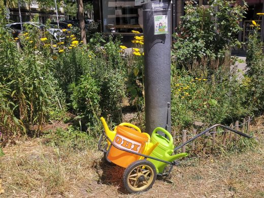 Giessen am Reichenbachplatz GreenCity eV 2025