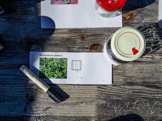 Green City eV Bauanleitung Hochbeet 3