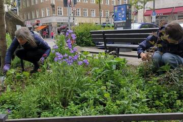 Mittwochs-Garteln am Reichenbachplatz