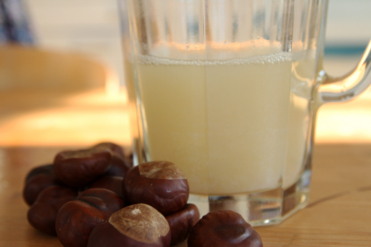 Kastanien Waschmittel, Foto: Sebastian Henkes