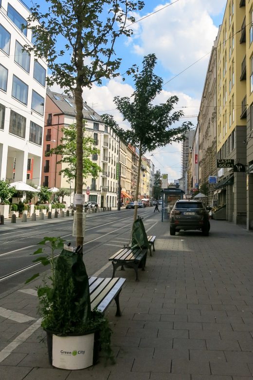 Wanderbäume_Kalrstraße_Kerstin-Schwabenbauer (33) bearbeitet-