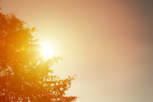 Klimawandel Deutschland GreenCity