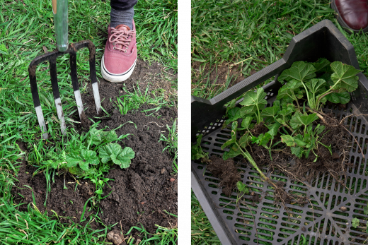 MicrosoftTeams-image (5)