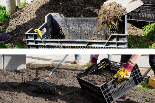 MicrosoftTeams-image (8)