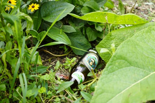 Müll Grünpatenbeet 3x2