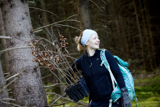 Muenchen_Buchensetzlinge