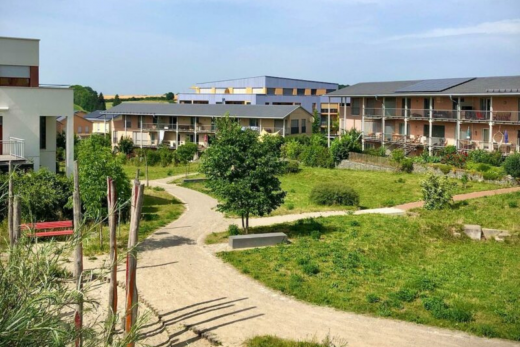 Pfaffenhofen_ Lilly_Sommer