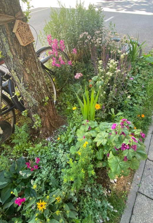 Schleißheimerstr. _Schäfer Juliane