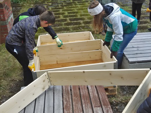 Green City, Grüne Schule, Michaeli-Gymnasium in Berg am Laim, Foto: Green City