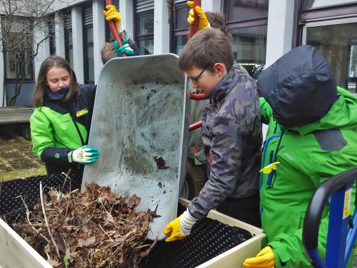 Green City, Grüne Schule, Michaeli-Gymnasium in Berg am Laim, Foto: Green City