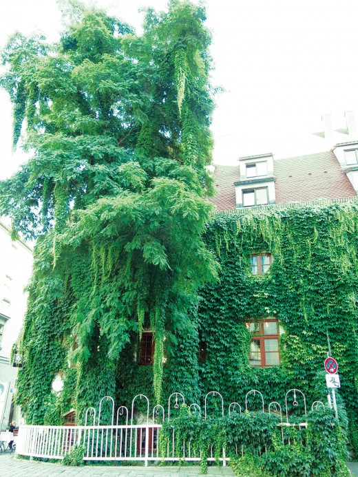 Pfeffermühle, Sparkassenstraße, Foto: Green City e.V.