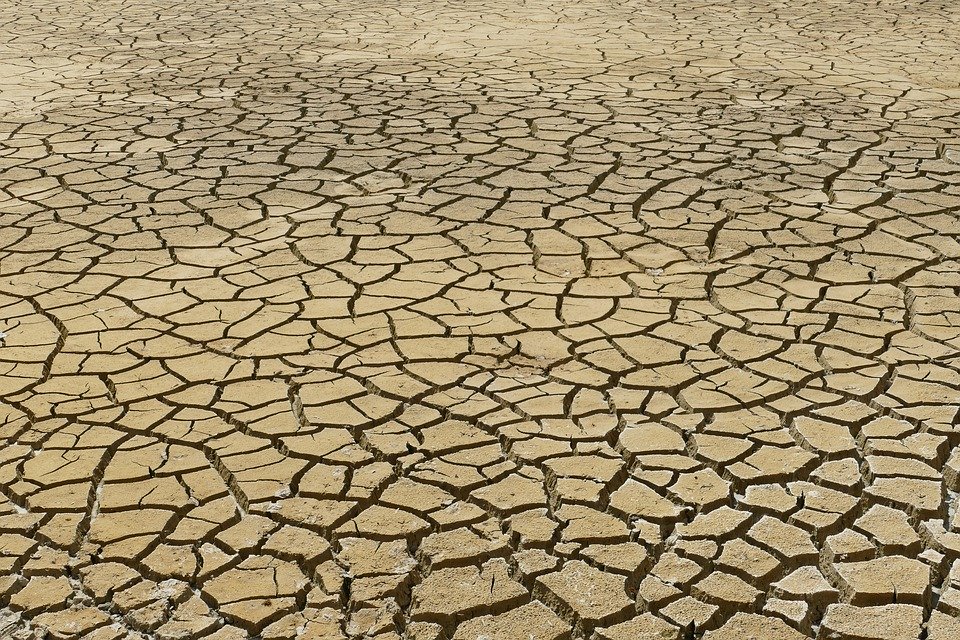 dry-4282884_960_720