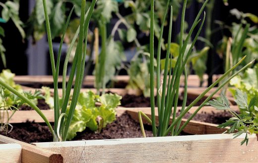 elisa-calvet-b-fCw8v41elGk-unsplash