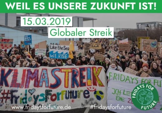 fridaysforfuture150319