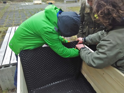 Green City, Grüne Schule, Michaeli-Gymnasium in Berg am Laim, Foto: Green City