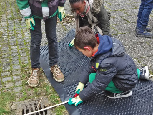 Green City, Grüne Schule, Michaeli-Gymnasium in Berg am Laim, Foto: Green City