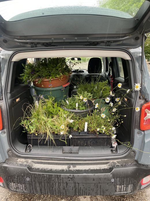 signal-2025-06-09-18-27-58-477